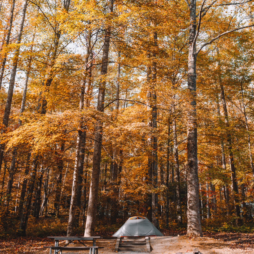 Bleib doch, wo de wechkommst – wie Campingplätze NRW 2019 noch lebenswerter machen